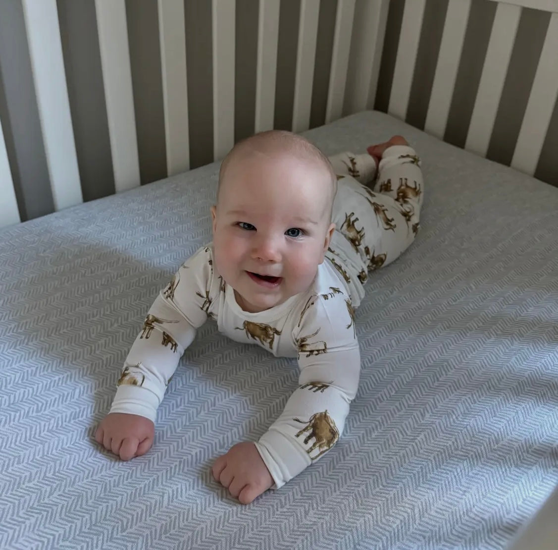 Longhorn Pajamas
