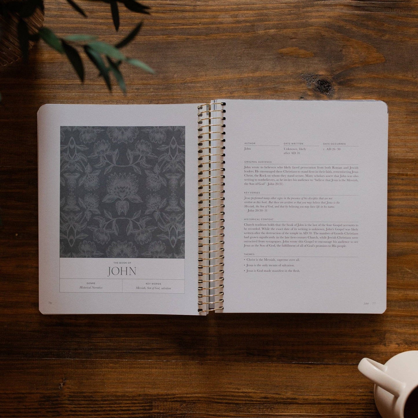 Year in the Bible
