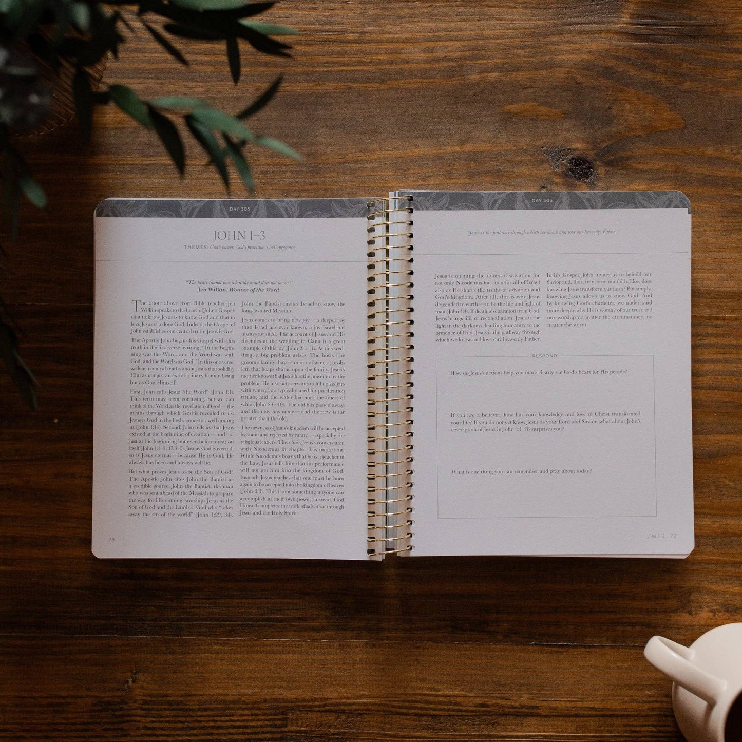 Year in the Bible