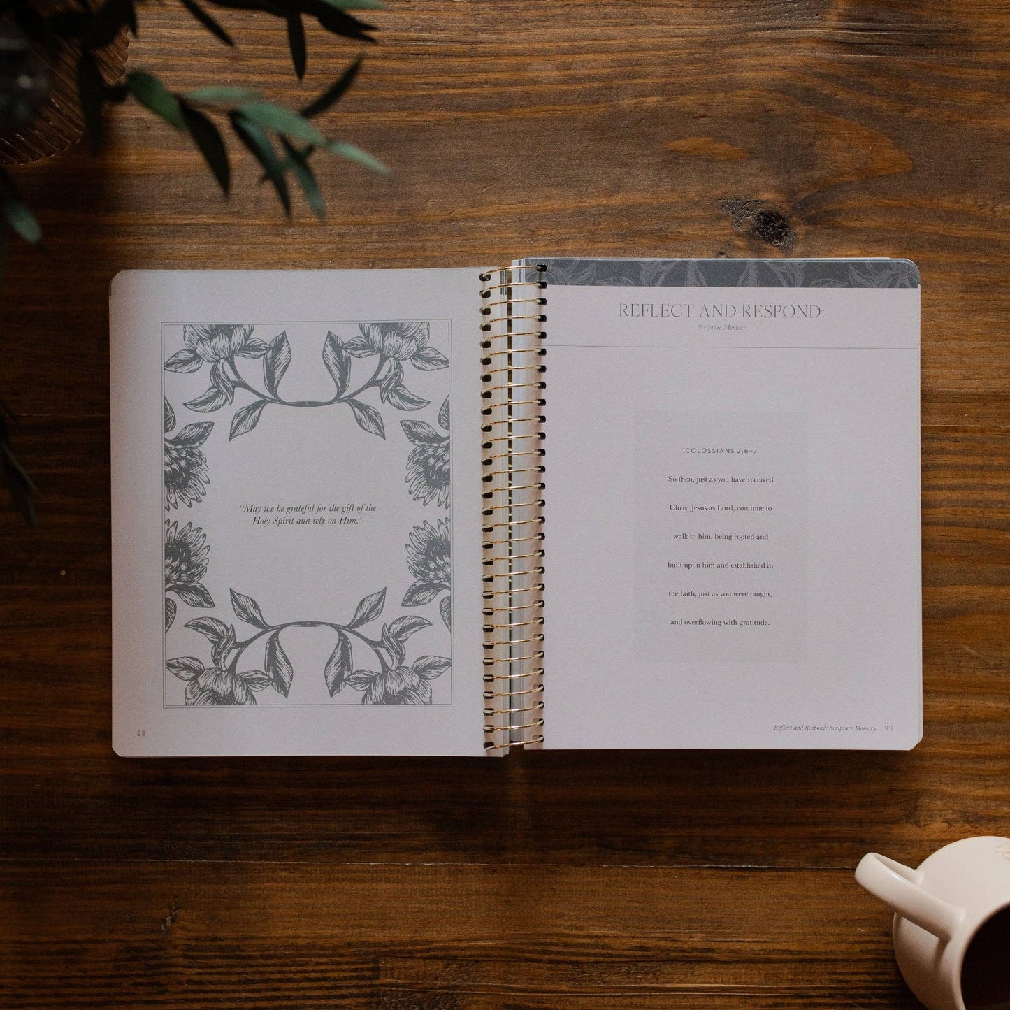 Year in the Bible