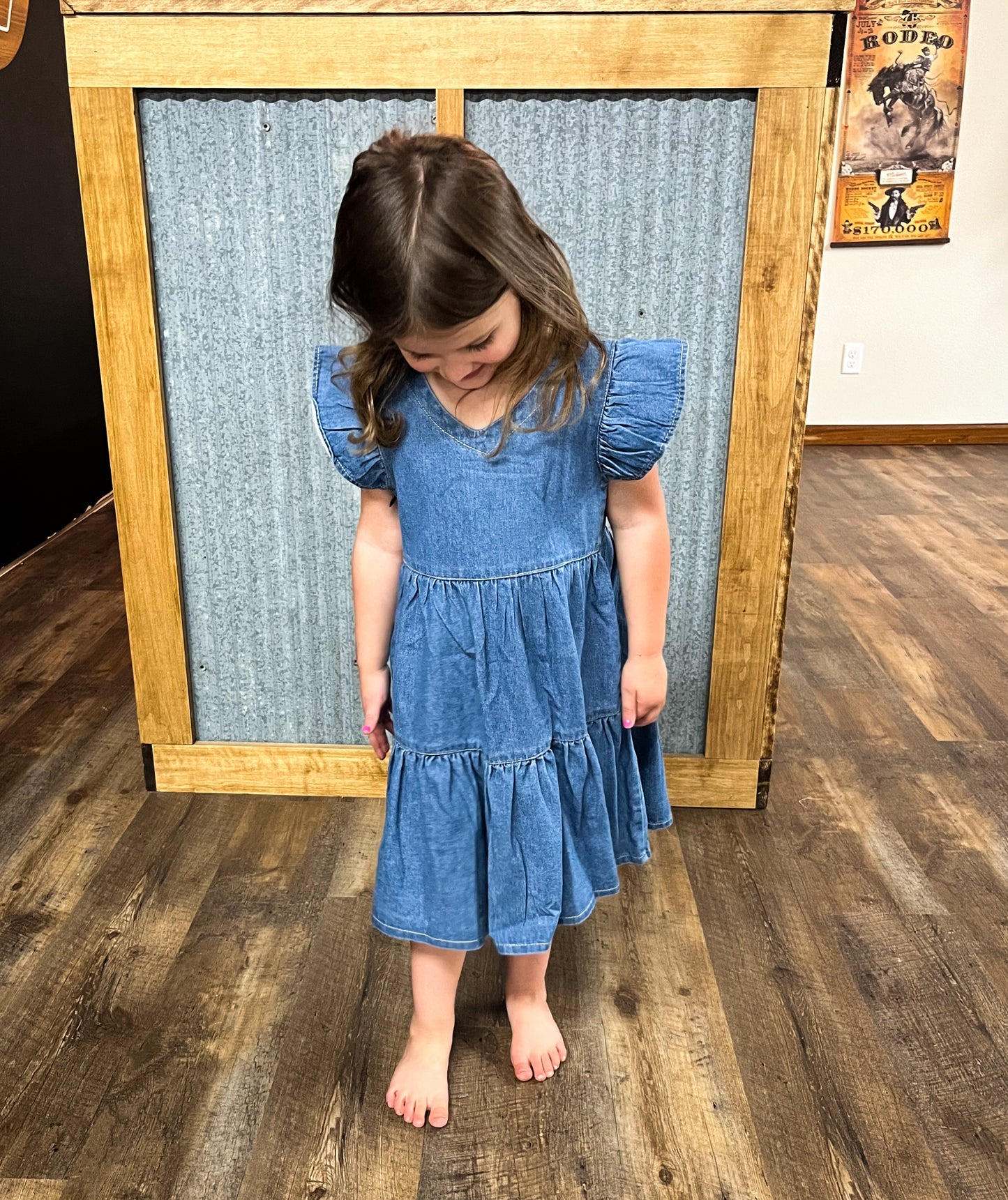 Denim Ruffle Sleeve Dress