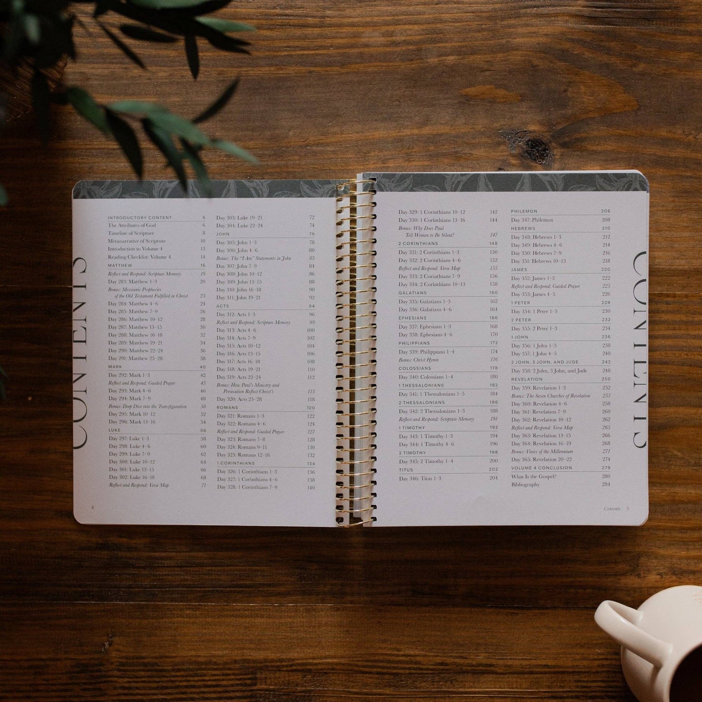 Year in the Bible