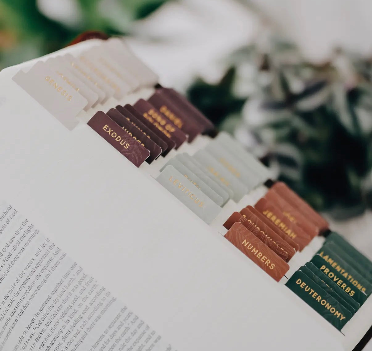Jewel Bible Tabs