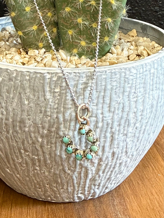 Horseshoe Necklace
